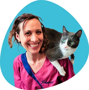 Photo d'une assistante vétérinaire portant une blouse rose et un chat sur les épaules, devant un fond bleu