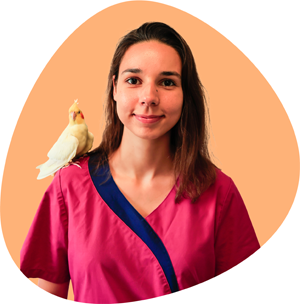 Photo d'une assistante vétérinaire portant une blouse rose, un oiseau sur l'épaule, devant un fond orange